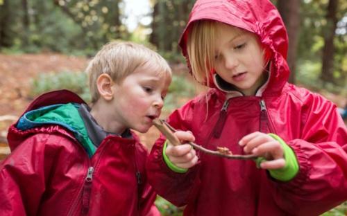 10 самых необычных школьных предметов разных стран мира