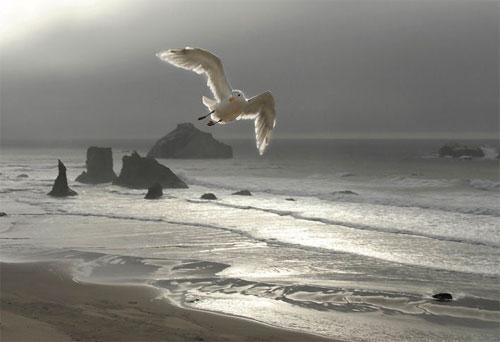 Лучшие фотографии конкурса National Geographic Contest — 2007