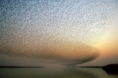 Лучшие фотографии конкурса National Geographic Contest — 2007