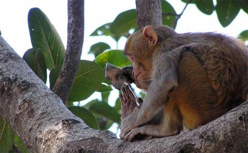 Лучшие фотографии конкурса National Geographic Contest — 2007