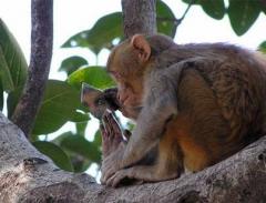 Лучшие фотографии конкурса National Geographic Contest — 2007