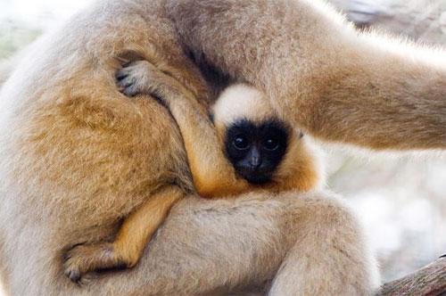 Лучшие фотографии конкурса National Geographic Contest — 2007