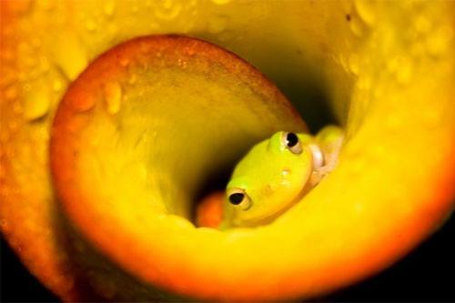 Лучшие фотографии конкурса National Geographic Contest — 2007