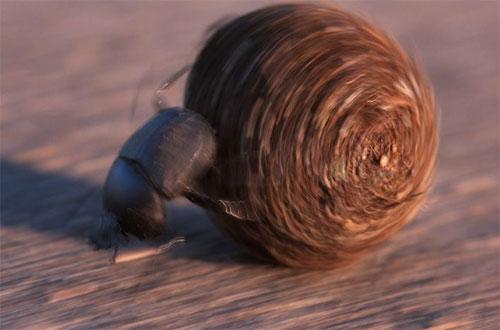 Лучшие фотографии конкурса National Geographic Contest — 2007