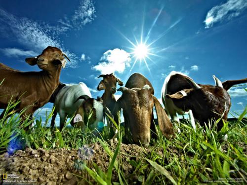 Лучшие майские фотографии National Geographic