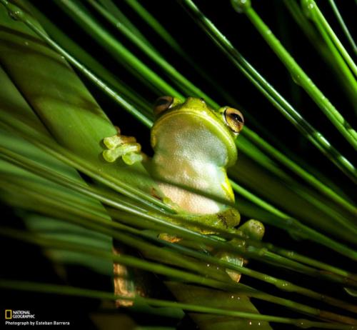 Лучшие майские фотографии National Geographic