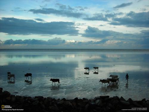 Лучшие майские фотографии National Geographic