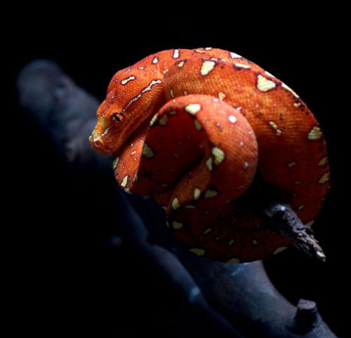 Лучшие майские фотографии National Geographic