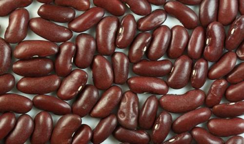 Странности гениев, изменивших мир