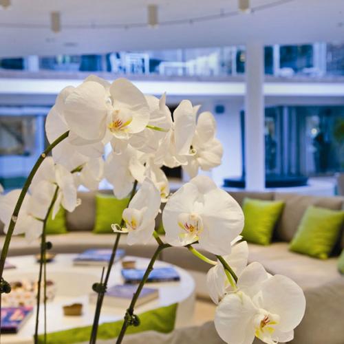 Шестизвездочный отель на Карибах