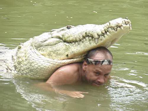Крокодил  целуется с человеком