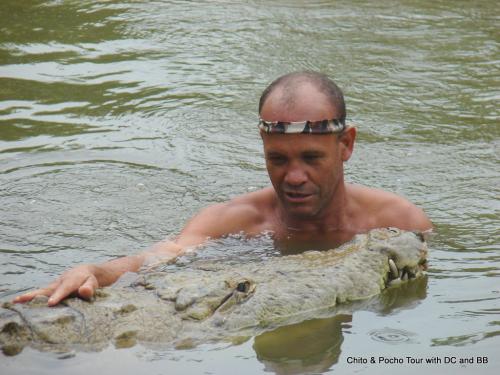 Крокодил  целуется с человеком