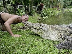 Крокодил  целуется с человеком