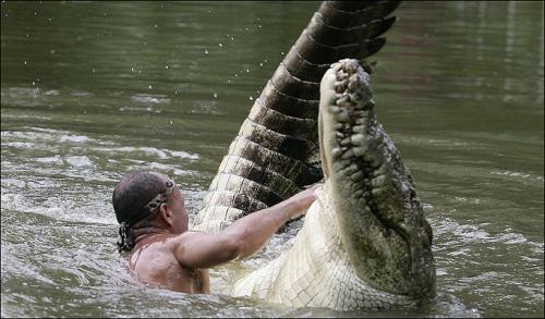 Крокодил  целуется с человеком