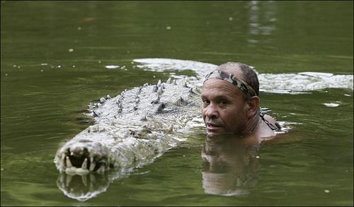 Крокодил  целуется с человеком