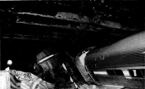 Невероятные бедствия, в которых все выжили