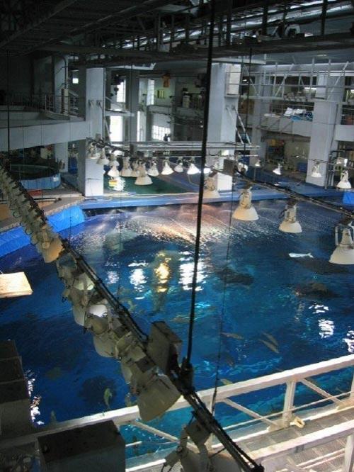 Гигантский аквариум хранит 16 тысяч рыб