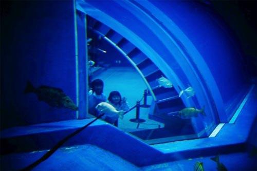 Гигантский аквариум хранит 16 тысяч рыб