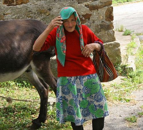 Старушка стала жертвой разгорячённой скотины