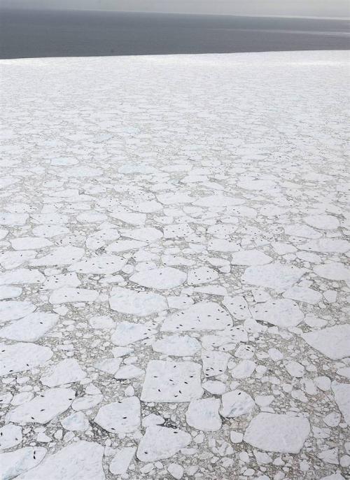 В Канаде начался кровавый промысел