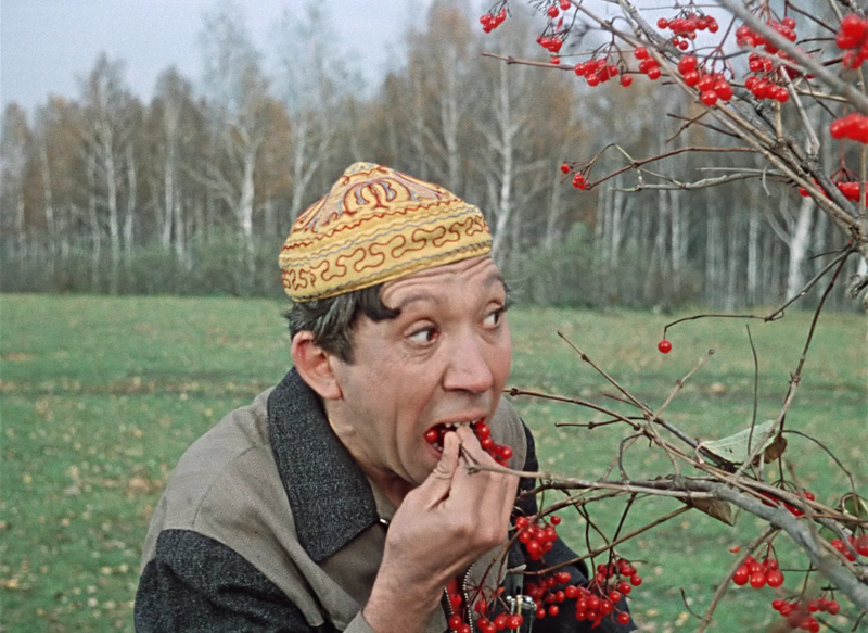 Военные фото советских актеров