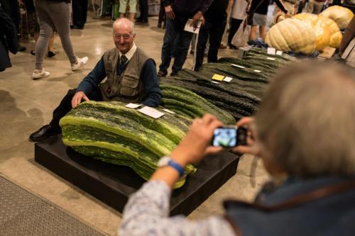 Конкурс гигантских овощей в фотографиях