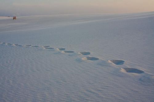 Водная пустыня Ленсойш Mараненсеш