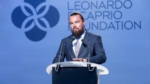 Знаменитости, которые страдают игроманией