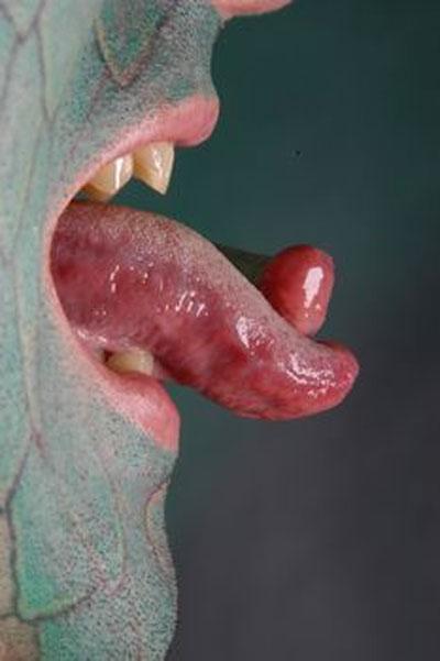 Самый страшный Санта Клаус работает в музее-кунсткамере