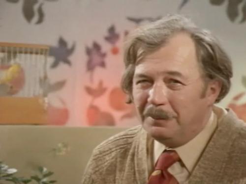 Как сложилась судьба актеров из фильма Рязанова "Карнавальная ночь"