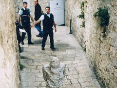 Люди-невидимки засветились в объективе