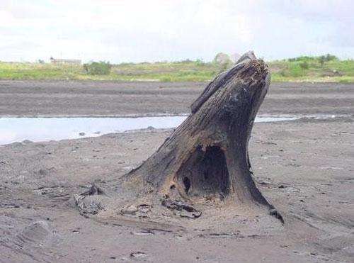 Твёрдое озеро Пич-лейк