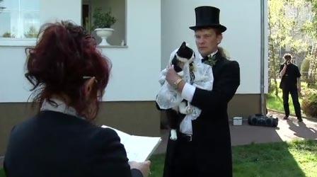 Немецкий почтальон женился на своей кошке