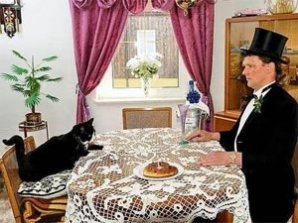Немецкий почтальон женился на своей кошке