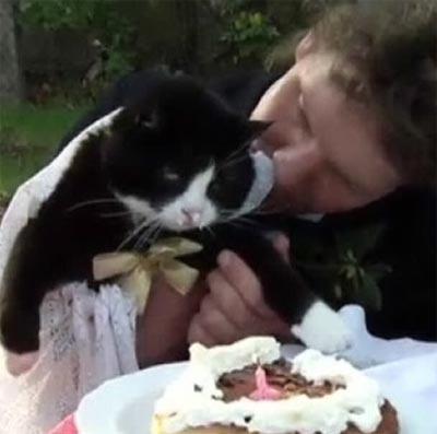 Немецкий почтальон женился на своей кошке