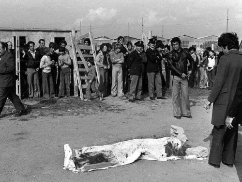 Знаменитости, убитые маньяками и серийными убийцами