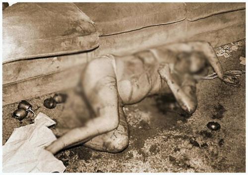 Знаменитости, убитые маньяками и серийными убийцами