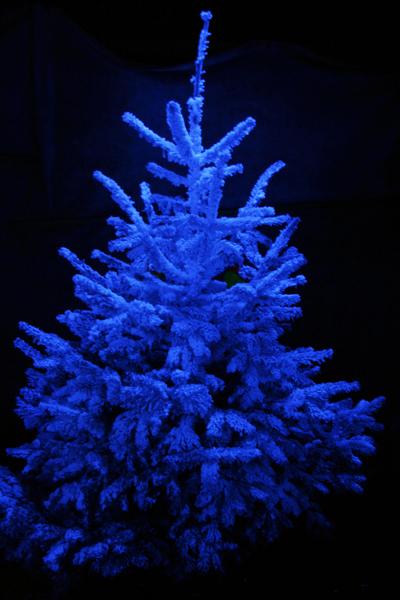 В Швейцарии найден Дворец Снежной королевы