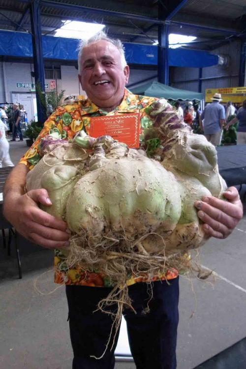 7 гигантских овощей-рекордсменов