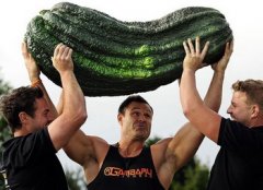 7 гигантских овощей-рекордсменов