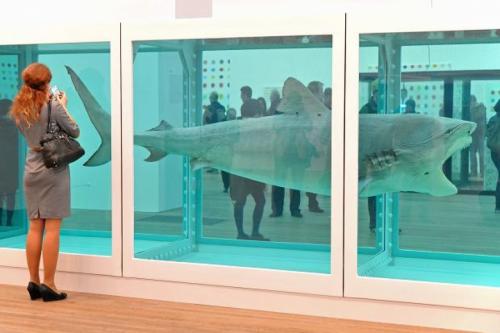 У богатых свои причуды: самые безумные траты олигархов