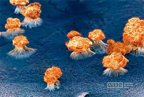 Нанохудожества: от технологии к искусству