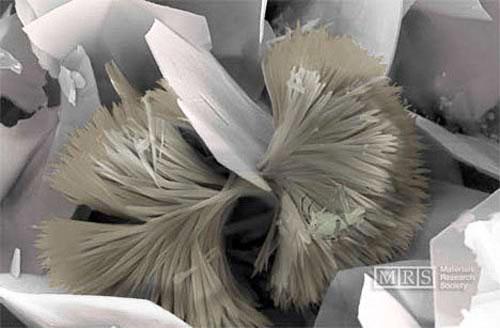 Нанохудожества: от технологии к искусству