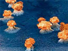 Нанохудожества: от технологии к искусству