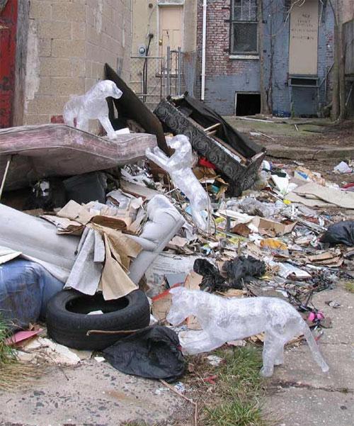 Полиэтиленовая правда о жизни