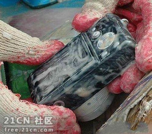 Скат-контрабандист поразил рыбаков