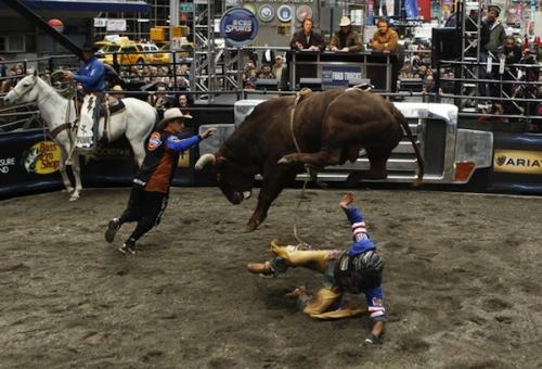 В центре Нью-Йорка устроили родео