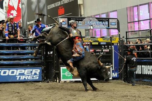 В центре Нью-Йорка устроили родео