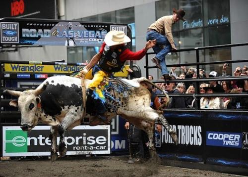 В центре Нью-Йорка устроили родео