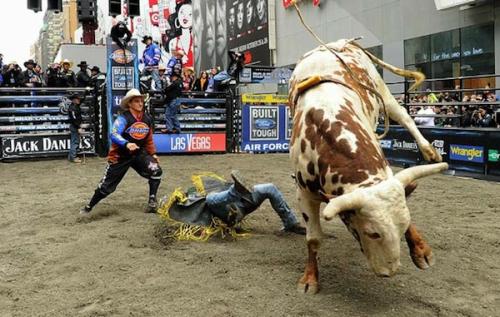 В центре Нью-Йорка устроили родео